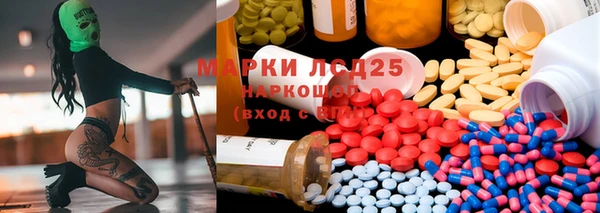 ГАЛЛЮЦИНОГЕННЫЕ ГРИБЫ Новодвинск