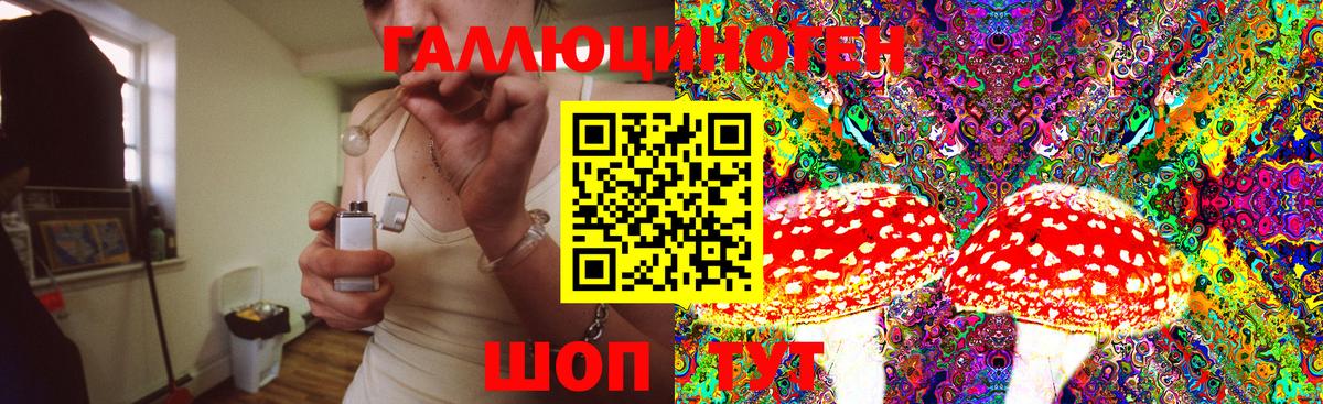 закладка  Псилоцибиновые грибы Psilocybe  Ульяновск  Галлюциногенные грибы мухоморы 