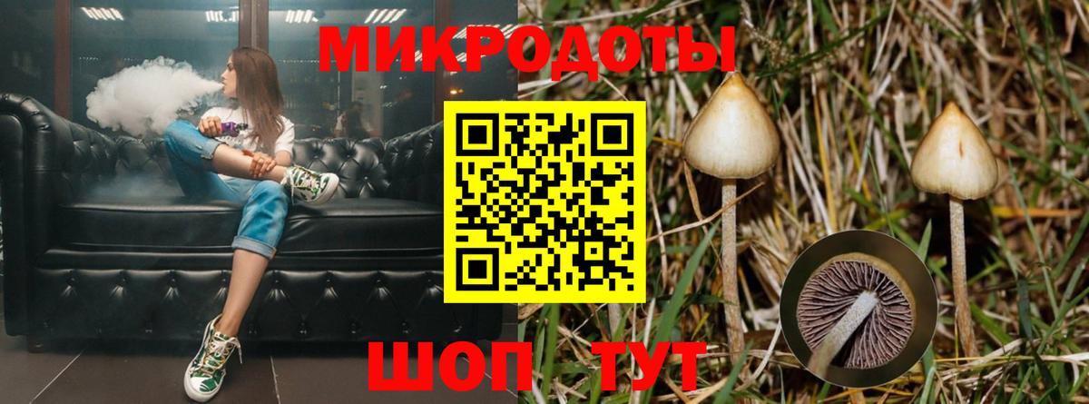 Псилоцибиновые грибы MAGIC MUSHROOMS  Вход с VPN  Ульяновск 